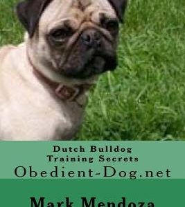 Dutch Bulldog Training Secrets: Obedient-Dog.net