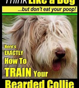 Bearded Collie, Bearded Collie Training - Think Like a Dog But Don't Eat Your Poop!: Here's Exactly How to Train Your Bearded Collie