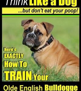 Olde English Bulldogge, Dog Training - Think Like a Dog...but don't eat your poop!: Here's EXACTLY How To TRAIN Your Olde English Bulldogge
