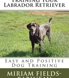 Training Your Labrador Retriever: Easy and Positive Dog Training