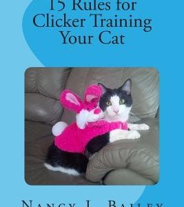 15 Rules for Clicker Training Your Cat