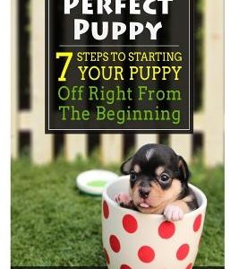 Perfect Puppy: 7 Steps To Starting Your Puppy Off Right From The Beginning