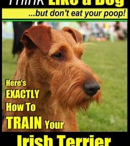 IRISH TERRIER DOG TRAINING Think Like a Dog but Don't Eat Your Poop!: Here's EXACTLY How to TRAIN Your Irish Terrier