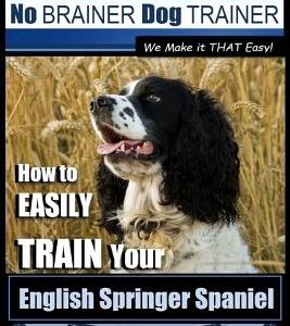 English Springer Spaniel Training - Dog Training with the No BRAINER Dog TRAINER We Make it THAT Easy!: How to EASILY TRAIN Your English Springer Span