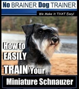 Miniature Schnauzer Training - Dog Training with the No BRAINER Dog TRAINER We make it THAT Easy!: How to EASILY TRAIN Your Miniature Schnauzer