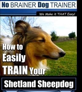 Shetland Sheepdog Training - Dog Training with the No BRAINER Dog TRAINER We make it THAT Easy!: How to EASILY TRAIN Your Shetland Sheepdog
