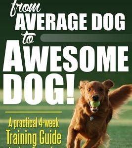 Dog Training: From Average Dog to Awesome Dog: Training for Dogs and Puppies
