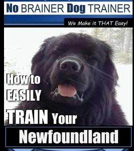 Newfoundland Training - Dog Training with the No BRAINER DogTRAINER We Make it THAT Easy!: How to EASILY TRAIN Your Newfoundland