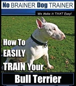 Bull Terrier Training - Dog Training with the No Brainer Dog Trainer We Make It That Easy!: How to Easily Train Your Bull Terrier