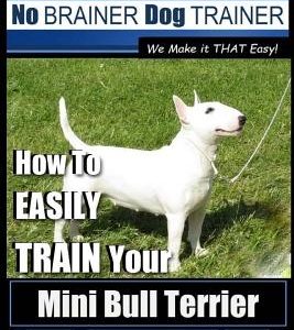 Mini Bull Terrier Training Dog Training with the No BRAINER Dog TRAINER We Make it THAT Easy!: How to EASILY TRAIN Your Mini Bull Terrier