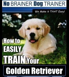 Golden Retriever Training - Dog Training with the No BRAINER Dog TRAINER We Make it THAT Easy!: How to EASILY Train Your Golden Retriever