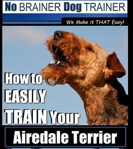 Airedale Terrier Training - Dog Training with the No Brainer Dog Trainer We Make It That Easy!: How to Easily Train Your Airedale Terrier