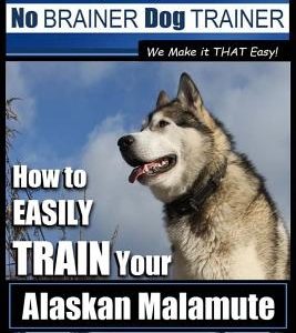 Alaskan Malamute Training - Dog Training with the No BRAINER Dog TRAINER We make it THAT easy!: How to EASILY TRAIN Your Alaskan Malamute