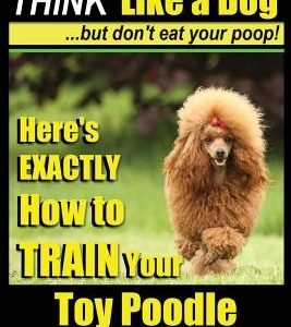 Toy Poodle, Toy Poodle Training - THiNK Like a Dog...but don't eat your poop!: Here's EXACTLY How to TRAIN Your Toy Poodle