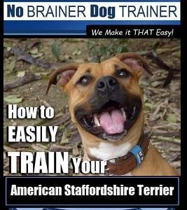 American Staffordshire Terrier Training, Dog Training with the No Brainer Dog Trainer We Make It That Easy!: How to Easily Train Your American Staffor