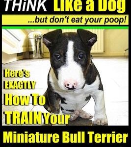 Miniature Bull Terrier Training - Think Like a Dog, But Don?t Eat Your Poop!: Here's Exactly How to Train Your Miniature Bull Terrier