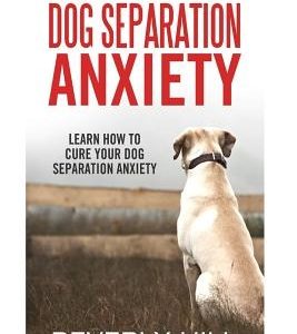 Dog Separation Anxiety: Learn How to Cure Your Dog Separation Anxiety