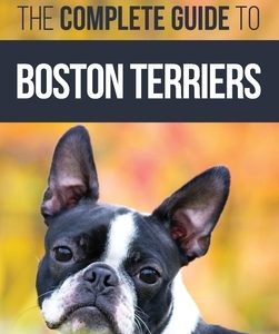 The Complete Guide to Boston Terriers: Preparing For, Housebreaking, Socializing, Feeding, and Loving Your New Boston Terrier Puppy