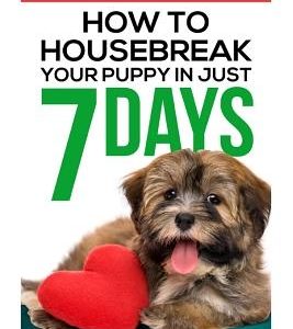 Puppy Training: How To Housebreak Your Puppy In Just 7 Days