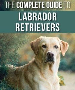 The Complete Guide to Labrador Retrievers: Selecting, Raising, Training, Feeding, and Loving Your New Lab from Puppy to Old-Age