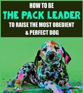 Dog Training: How to be the pack leader to raise the most obedient & perfect dog