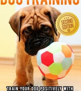 Dog Training: Train Your Dog Positively With Minimal Effort, Maximum Enjoyment