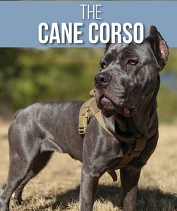 The Complete Guide to the Cane Corso: Selecting, Raising, Training, Socializing, Living with, and Loving Your New Cane Corso Dog