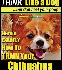 Chihuahua Dog Training - Think Like a Dog...But Don't Eat Your Poop!: Chihuahua Breed Expert Training - Here's Exactly How to Train Your Chihuahua