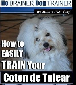 Coton de Tulear Training - Dog Training With The No BRAINER Dog TRAINER: "We Make it That Easy" - How to EASILY Train Your Coton de Tulear