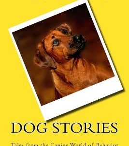 Dog Stories
