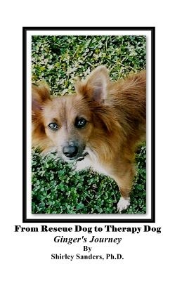 From Rescue Dog To Therapy Dog