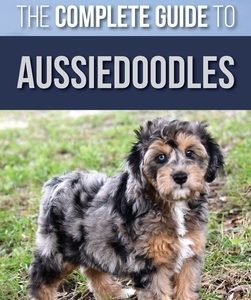 The Complete Guide to Aussiedoodles: Finding, Caring For, Training, Feeding, Socializing, and Loving Your New Aussidoodle