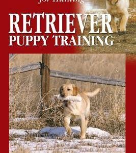 Retriever Puppy Training: The Right Start for Hunting