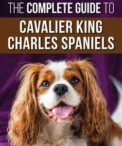 The Complete Guide to Cavalier King Charles Spaniels: Selecting, Training, Socializing, Caring For, and Loving Your New Cavalier Puppy