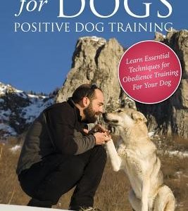 Obedience Training for Dogs: Positive Dog Training