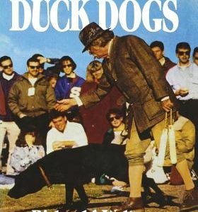 Duck Dogs: All About the Retrievers