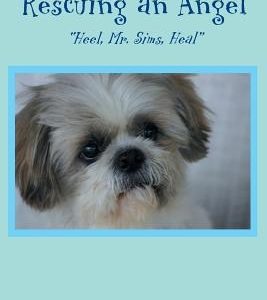 Rescuing an Angel: "Heel, Mr. Sims, Heal"