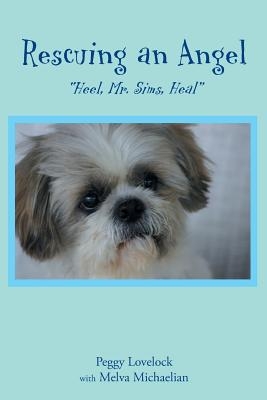 Rescuing an Angel: "Heel, Mr. Sims, Heal"