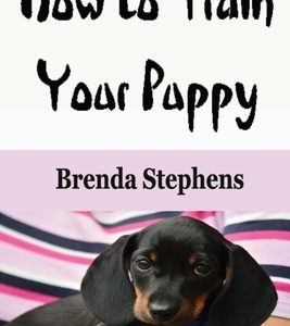 How to Train Your Puppy