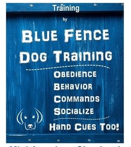 Miniature American Shepherd Training By Blue Fence - Dog Training Obedience - Behavior, Commands - Socialize, Hand Cues Too! Mini American Shepherd: M
