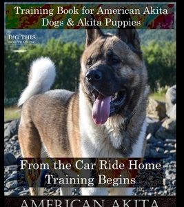 American Akita Training Book for American Akita Dogs & Akita Puppies By D!G THIS DOG Training, From the Car Ride Home Training Begins, American Akita