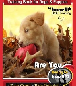 Golden Labrador Training Book for Dogs & Puppies by Bone Up Dog Training: Are You Ready to Bone Up? Easy Steps * Fast Results Golden Labrador Training