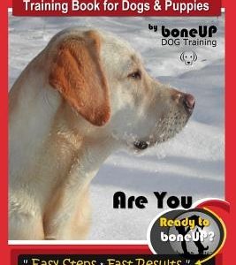 Yellow Labrador Training Book for Dogs and Puppies by Boneup Dog Training: Are You Ready to Bone Up? Easy Steps * Fast Results Yellow Labrador Trainin