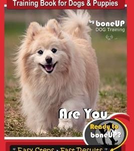 Pomeranian Training Book for Dogs and Puppies by Bone Up Dog Training: Are You Ready to Bone Up? Easy Steps * Fast Results Pomeranian Traiing