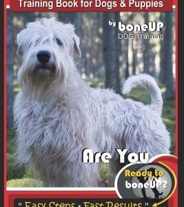 Soft Coated Wheaten Terrier Training Book for Dogs & Puppies by BoneUp Dog Training: Are You Ready to Bone Up? Simple Steps Fast Results Soft Coated W