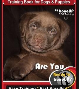Chocolate Lab Chocolate Labrador Retriever Training Book for Dogs & Puppies by Boneup Dog Training: Are You Ready to Bone Up? Easy Steps * Fast Result