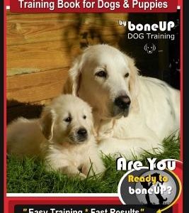 Golden Retriever Puppy Training Book for Dogs and Puppies by Bone Up Dog Training: Are You Ready to Bone Up? Easy Training * Fast Results Golden Retri