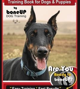 Doberman Pinscher Training Book for Dogs and Puppies by Bone Up Dog Training: Are You Ready to Bone Up? Easy Training * Fast Results Doberman Pinscher