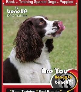 English Springer Spaniel Book for Training Spaniel Dogs & Puppies by BoneUp Dog Training: Are You Ready to Bone Up? Easy Training * Fast Results Engli