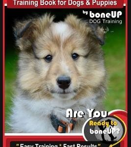 Shetland Sheepdog Training Book for Dogs & Puppies By BoneUP DOG Training: Are You Ready to Bone Up? Easy Training * Fast Results, Sheltand Sheepdog B